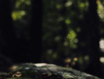 Gereja yang Memulihkan: Refleksi atas Yeremia 33:6 dalam Konteks Indonesia Masa Kini