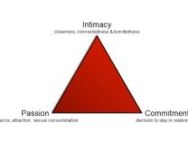Intimacy in Marriage 