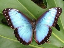 TRANSFORMED INSIDE OUT