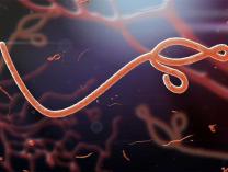 EBOLA 